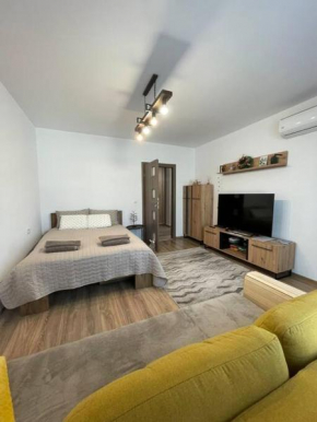 Puzzle Studio 2, Bucharest